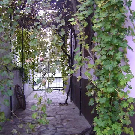 Sofia's House *
