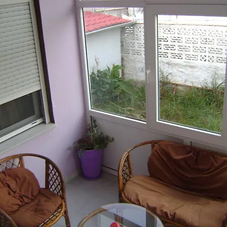 Sofia's House
